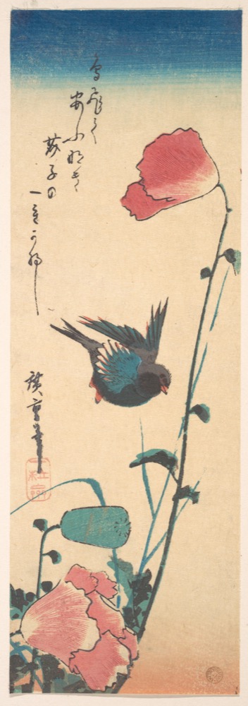 Japanese woodblock print of a poppy and a sparrow